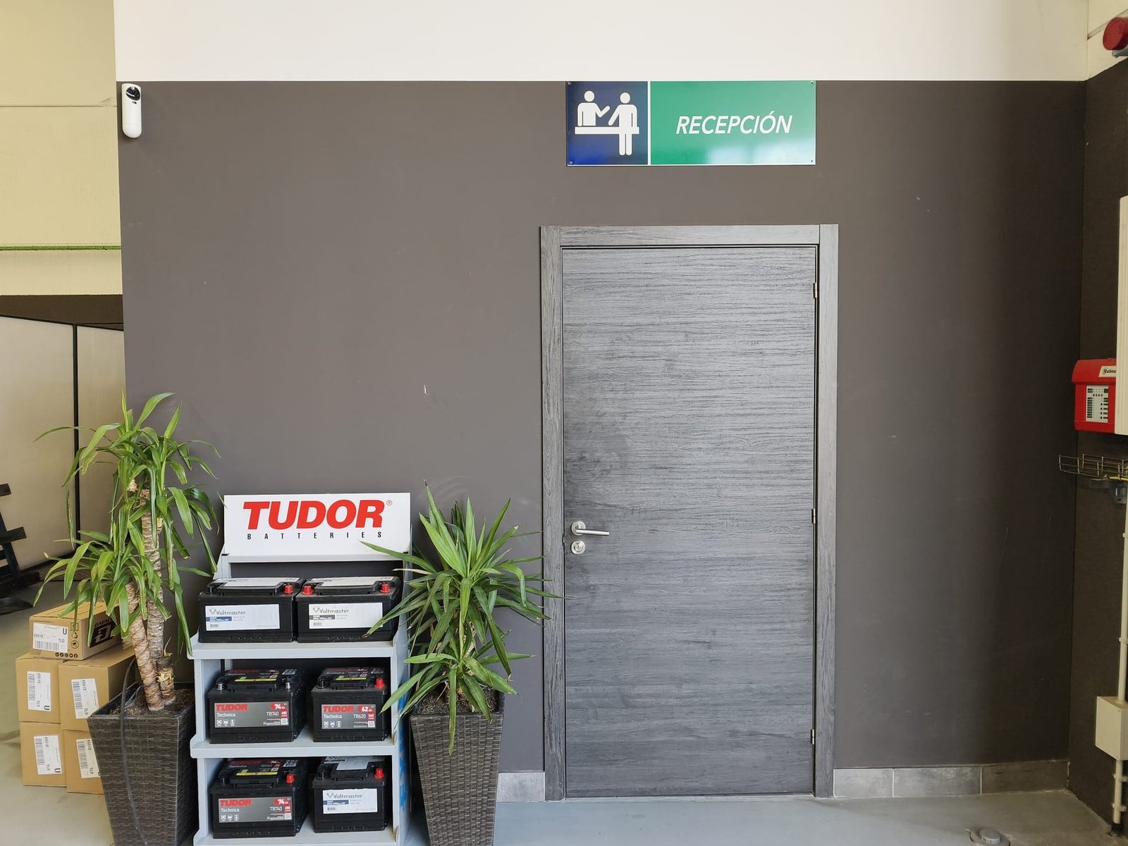 Recepción de MA Motor